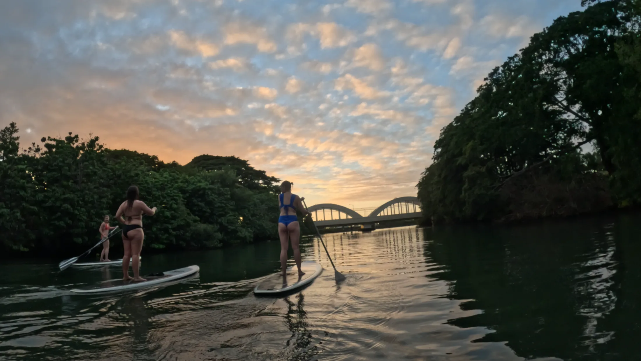 HI Surf Camp guests paddleboarding on Haleiwa River